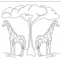 giraffe border